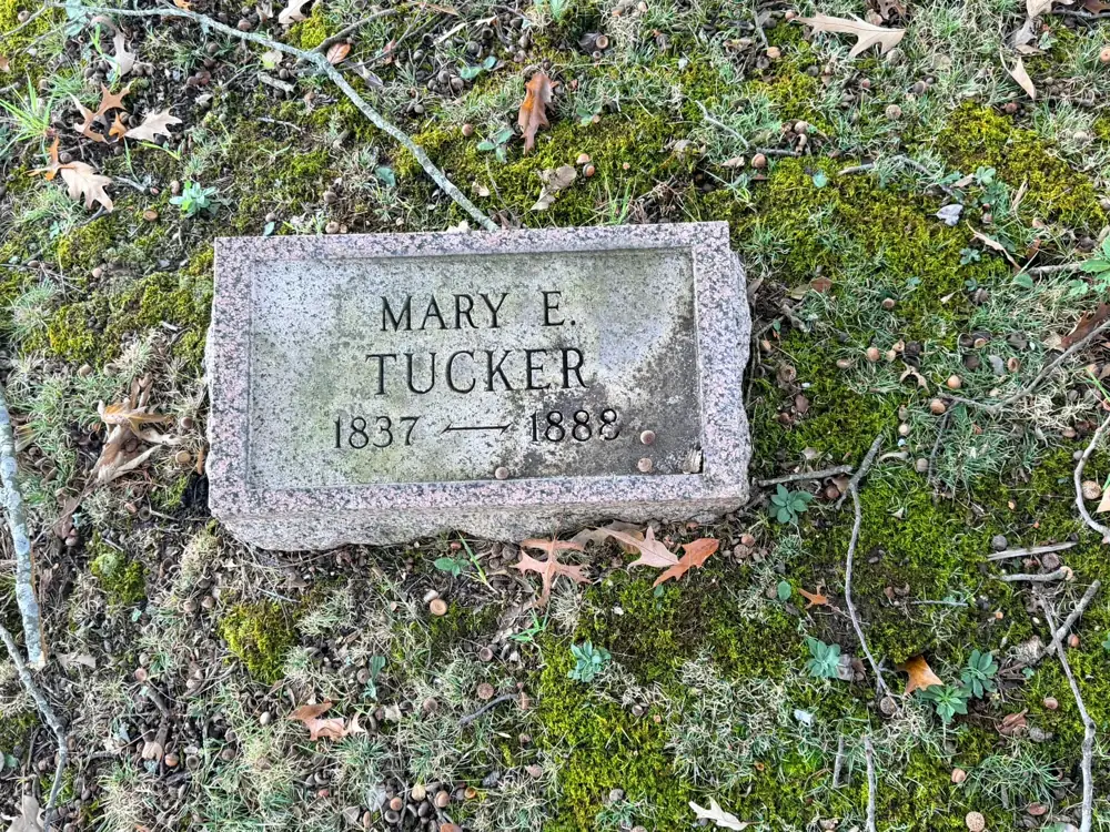 Flat granite headstone for Mary E. Tucker, 1837 to 1888, set in moss and acorns at Mt. Calvary Cemetery